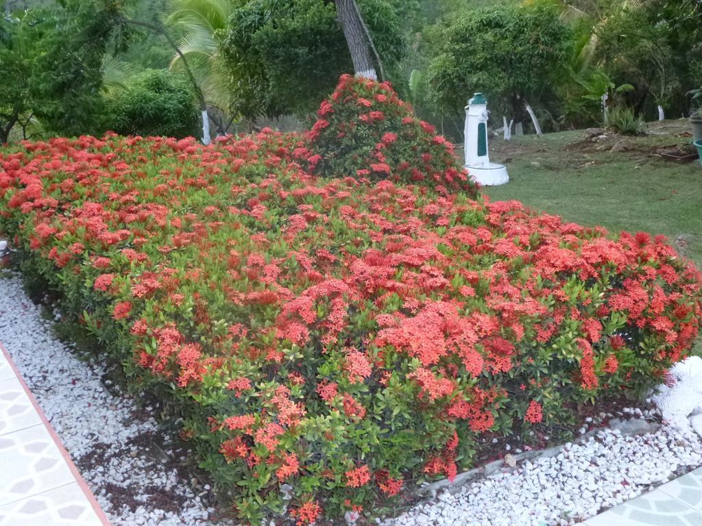 Villa Ludivine Sainte-Anne  Oda fotoğraf
