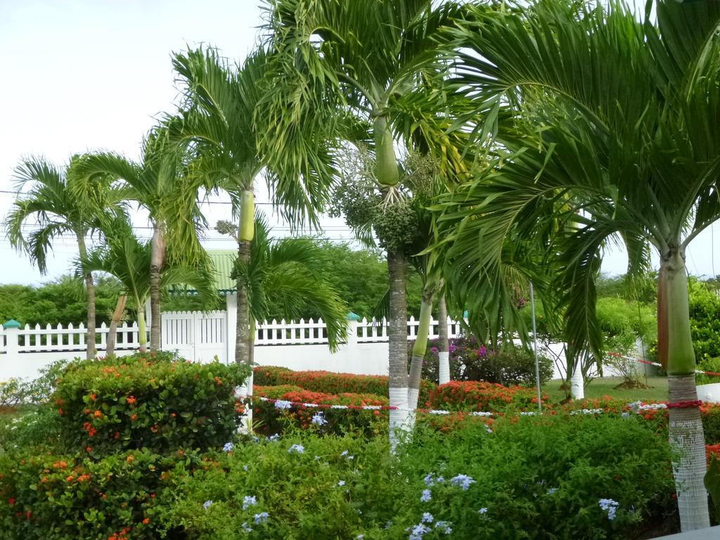 Villa Ludivine Sainte-Anne  Oda fotoğraf